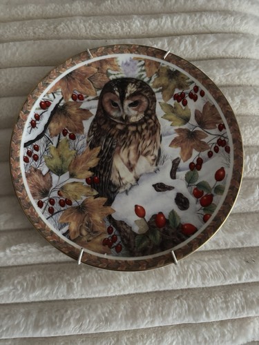 Coalport winter scenes - coalport,