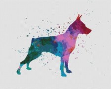 Miniature Pinscher Puppy Dog