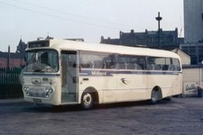 Bus Photo - Alexander