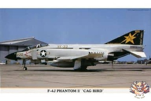 Phantom cag bird - cag, 1/72