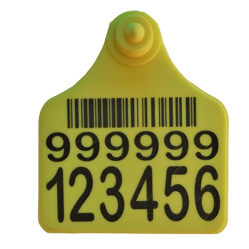 Veterinary plastic ear tag - ear,