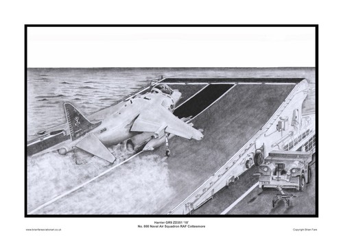 800 naval air squadron - naval,