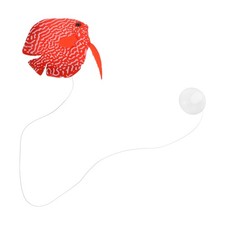  Aquarium Ornament Tropical