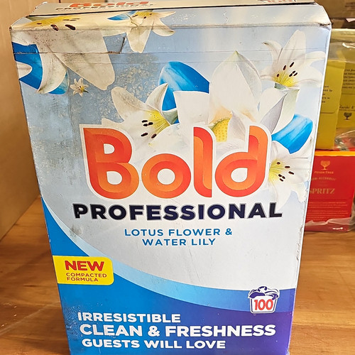 Bold professional laundry - bold,
