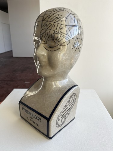 Extra large phrenology head - extra,