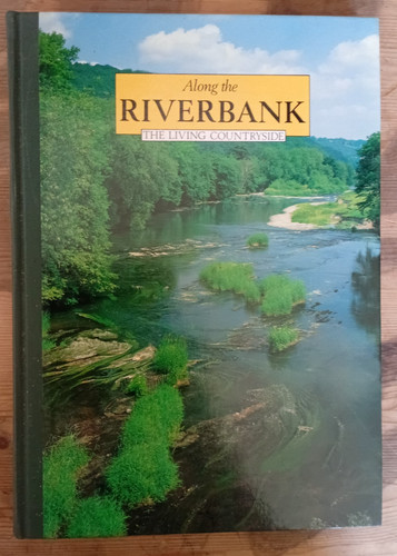 Along the riverbank - along,