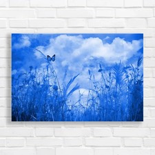 Serene Meadow Butterfly Blue