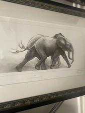 Gary Hodges Limited Edition