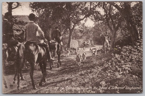 Devon somerset staghounds up - devon, &