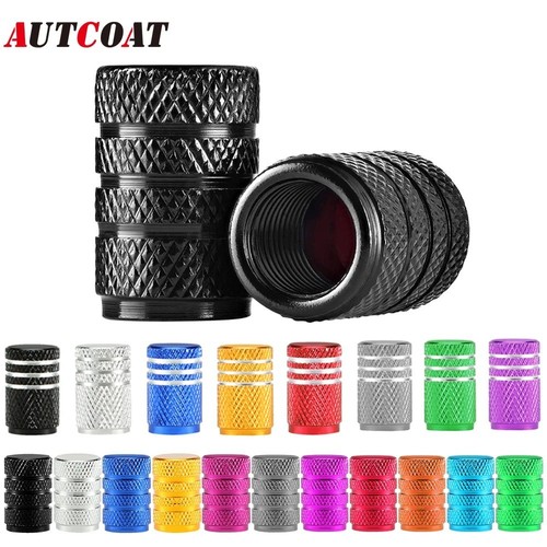 Alloy tyre valve - alloy, dust