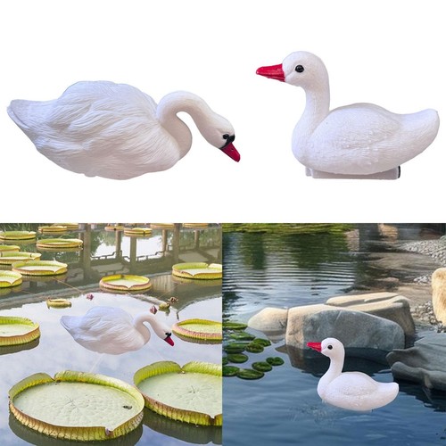 Swan decoy garden - swan,