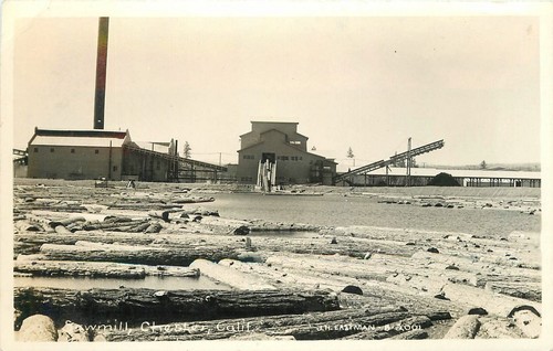 Postcard california chester - postcard,