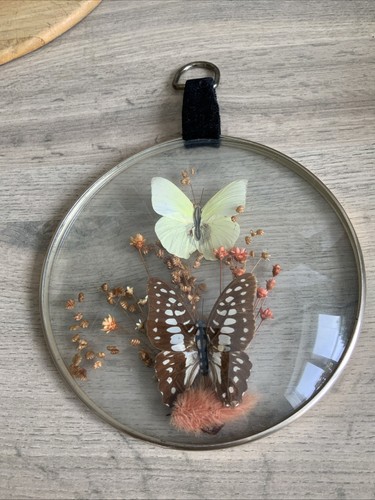 Wall hanging glass display - wall,