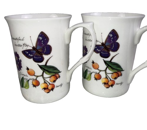 Rose england butterfly - rose,