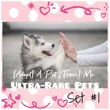 🌸 Adopt (All Stuff) Today