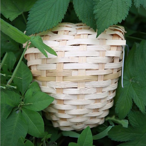 10x handmade canary nest made - canary,