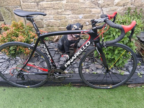 Pinarello dogma 54cm - k,