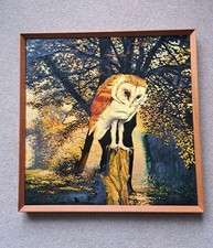 Original Painting Oil On Canvas Barn Owl Woodland Forest Mid Century Framed Art