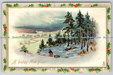 R770272 A Happy New Year Raphael Tuck and Sons Winter Landscapes Series of New Y
