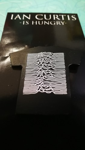 Ian curtis hungry new wave - is,