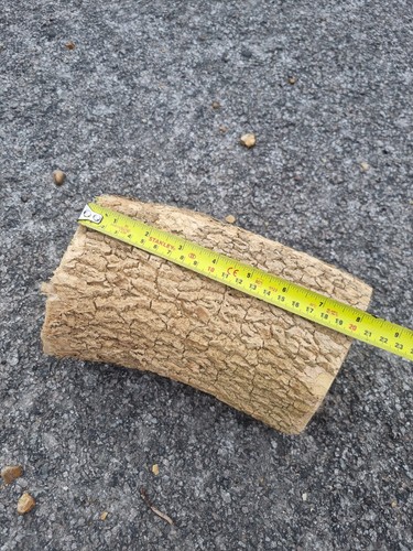 Green unseasoned boxwood log - green,