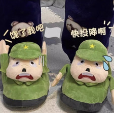 Ladies' funny slippers Indoor