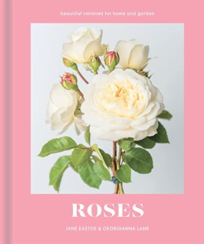 Roses beautiful varieties for - roses:,