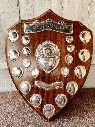 Big trophy shield 16 - 🏆,