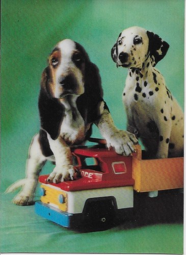 Dogs postcards - dogs,