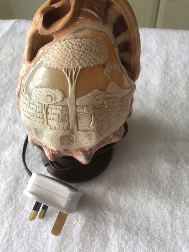 Conch shell lamp - conch,