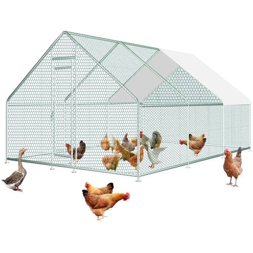 Heavy duty chicken run - chicken, cage