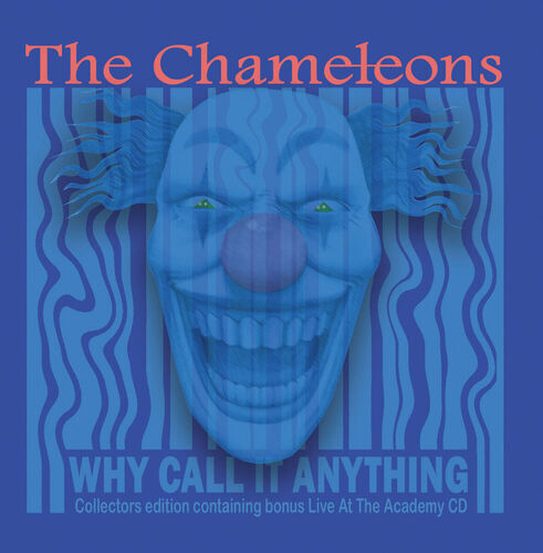 The chameleons why call it - :,