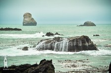Southern Oregon Coast - Fine