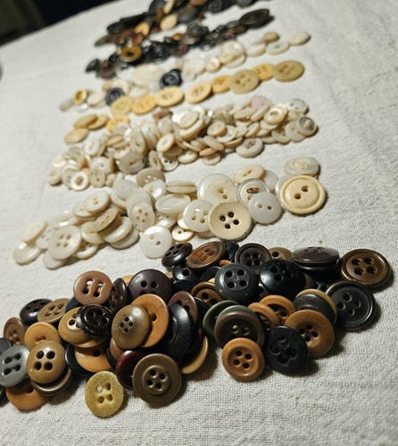Antique button lot 250 bone - antique,