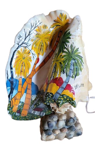 Mcm kitsch belize hawaii - hawaii, conch