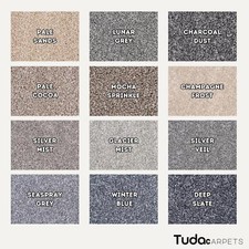 Monarch 14mm pile carpet - 14mm,