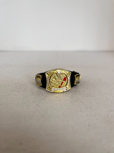 Wwe spinner championship - spinner,