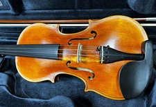 Stentor Elysia 4/4 Violin +