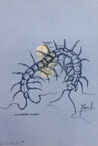 Rubens fogacci serie - rubens,