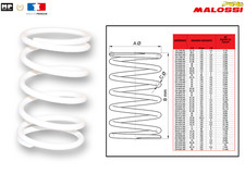 Thrust spring variator Malossi