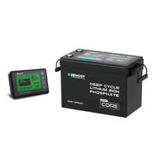 Renogy 200Ah 12V LiFePO4 Lithium Battery with Free Battery Monitor