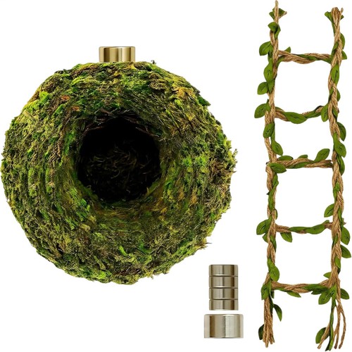 Jumping spider enclosure - jumping,