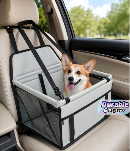 Dog car booster - car, seat
