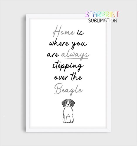 Beagle picture unframed a4 - beagle, picture,