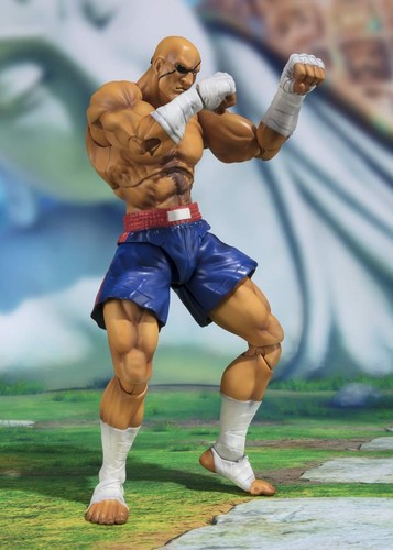 Street fighter sagat - street,