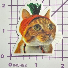 Carrot Hat Costume Kitty Cat -