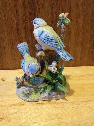 Lovely blue tits - lovely, bird