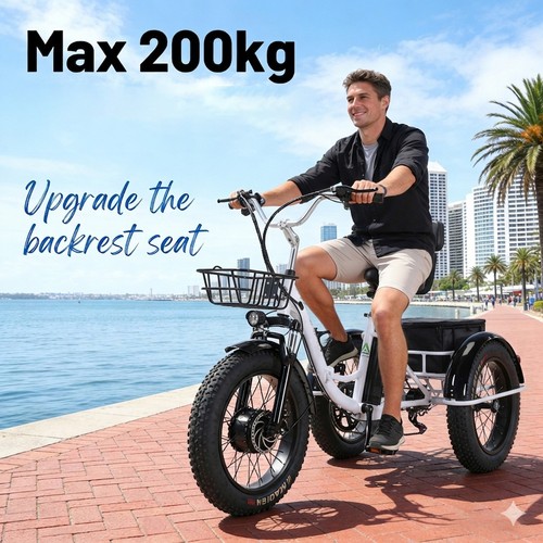 Folding electric tricycle - 20",
