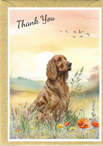 Irish setter dog thank you - setter,
