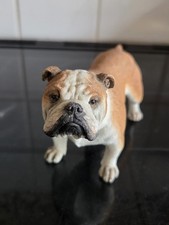 Country Artists Bulldog